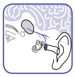 Always use the same ear